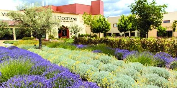 Visite de l'Occitane en Provence