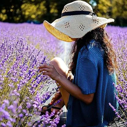 Pourquoi choisir le Luberon pour votre résidence principale ou secondaire ?