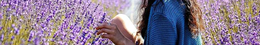 Pourquoi choisir le Luberon pour votre résidence principale ou secondaire ?