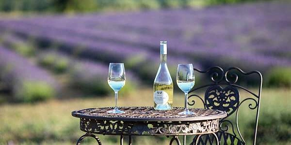 Luberon : Vigne au Verre au Château de Sannes