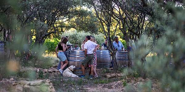 Apéro avec Vue - « J’peux pas, j’ai Le Novi ! »