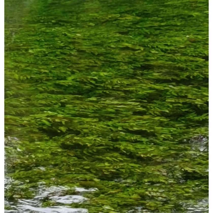 509422598_122124510332838836_7297877442470836565_n.jpg