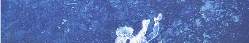 Courir après la paix.jpg