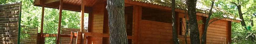 2012-05-13 12.15.01.jpg