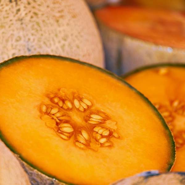 Melon charentais de Cavaillon