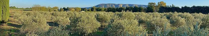 Domaine Récolte (1).jpg