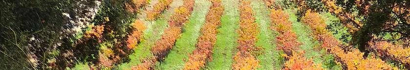 Randonnée de la Courge