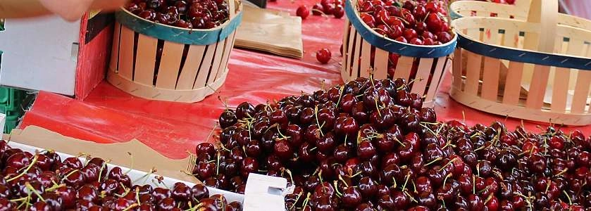 Fête de la cerise