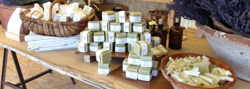 Visite des champs de lavande à Terre Ugo