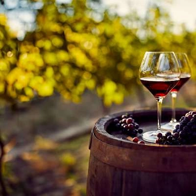 Domaine Comte de Lauze