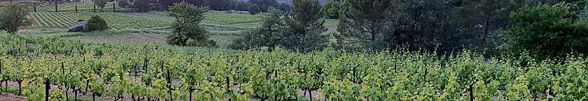 mas-edem-vignes-village-goult-luberon