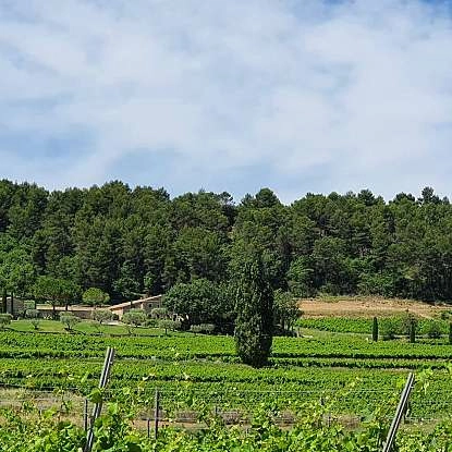 mas-edem-domaine-luberon
