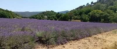 Tours guidés de découvertes du patrimoine provençal en vélo à assistance électrique