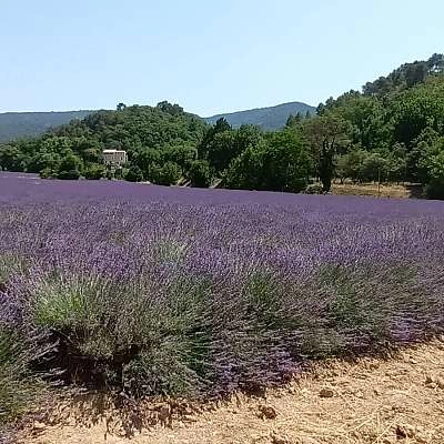 Tours guidés de découvertes du patrimoine provençal en vélo à assistance électrique