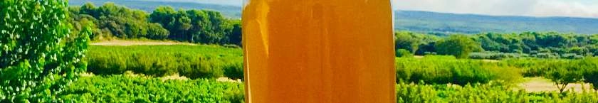 Les Lambesc'apades : Visite de La Couëlle et de son exploitation agricole