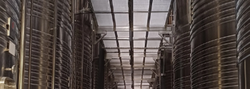 Les Lambesc'apades : visite du Vignoble du Roy René