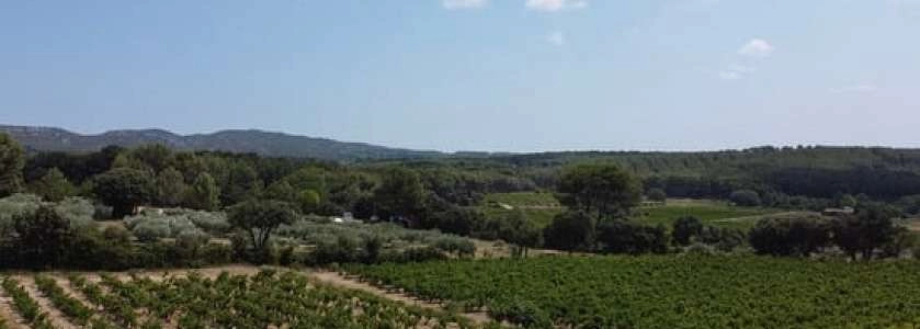 Les Lambesc'apades : Découverte du Domaine Beauchamp