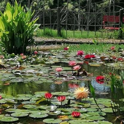 imgi_102_Slider-Jardin-01-768x461.jpg