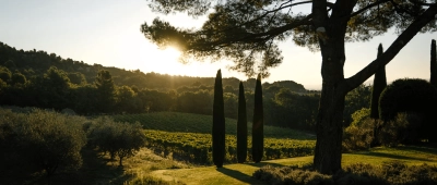 Château la Verrerie - Domaine Viticole en Bio et Biodynamie