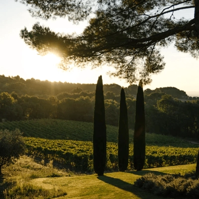 Château la Verrerie - Domaine Viticole en Bio et Biodynamie