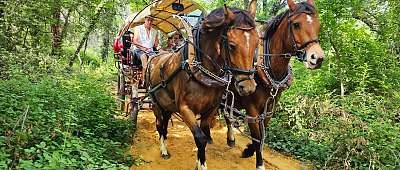 Guide à cheval et Balade en Calèche dans les Ocres