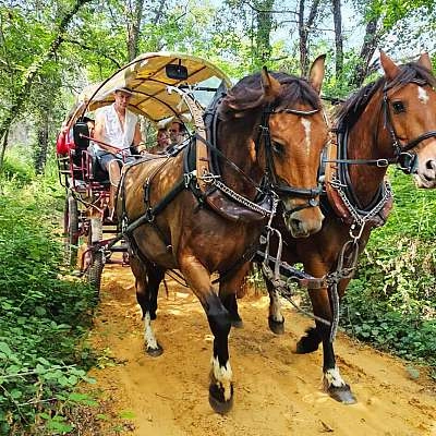 Guide à cheval et Balade en Calèche dans les Ocres 