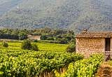 Guide étudiant du Luberon : tout ce qu'il faut savoir