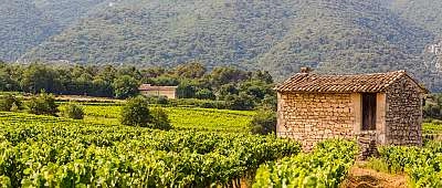 Guide étudiant du Luberon : tout ce qu'il faut savoir