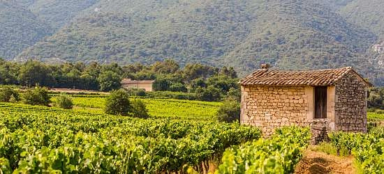 Guide étudiant du Luberon : tout ce qu'il faut savoir