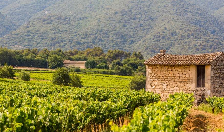 Guide étudiant du Luberon : tout ce qu'il faut savoir