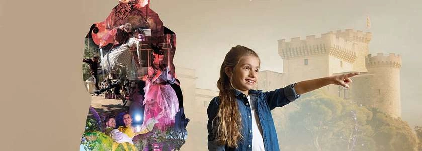 Napoléon : l'aigle et la muse - Son et Lumière au Rocher Mistral