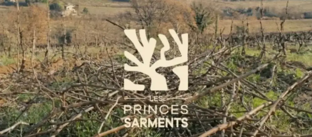 Les Princes Sarments, la seconde vie du bois de vigne