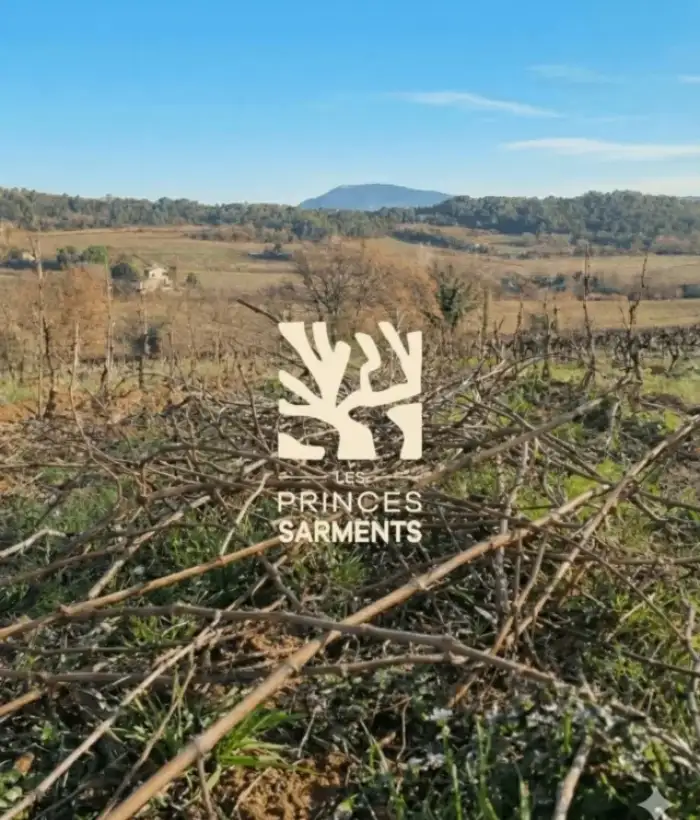 Les Princes Sarments, la seconde vie du bois de vigne