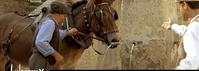 La Gloire de Grambois - Sud Luberon