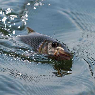 Pécher aux 7 Lacs à Beaumont de Pertuis