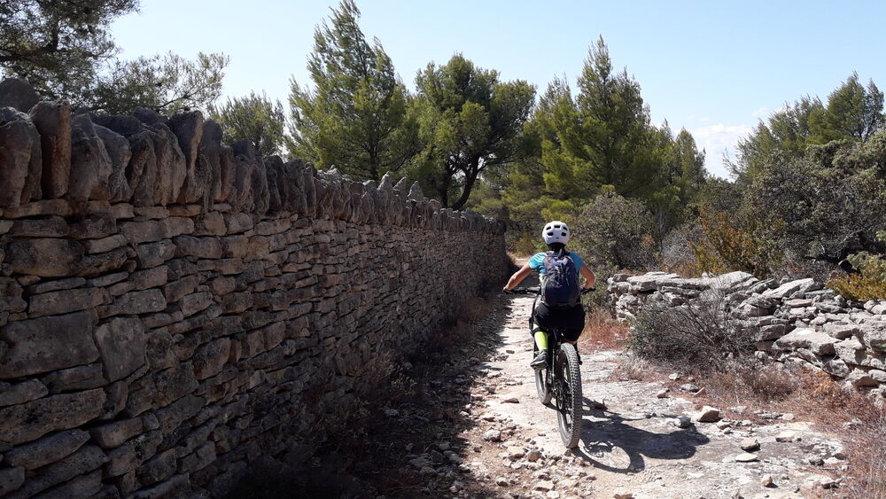 Descente VTT sur un sentier de la Grande Combe dans le Luberon